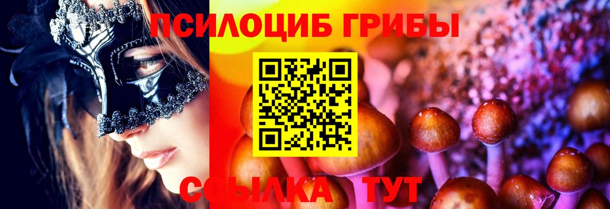Псилоцибиновые грибы мицелий Ангарск