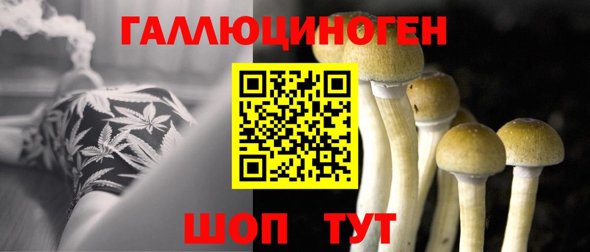 Ангарск  Псилоцибиновые грибы Cubensis  Псилоцибиновые грибы GOLDEN TEACHER  Вход с VPN 